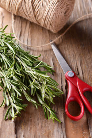 Rosemary on table close-upの写真素材