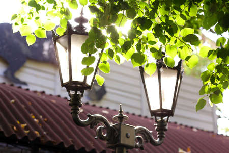 Street lamp and sun beamsの写真素材