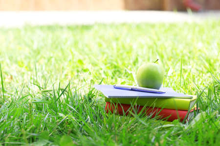Stacked books in grass, outsideの写真素材