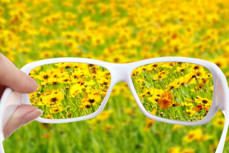 Vision concept. Glasses in hand on wild flowers backgroundの写真素材