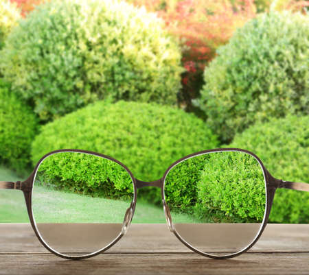 Glasses on green lush bushes backgroundの写真素材