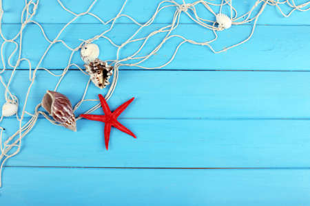 Decor of seashells close-up on blue wooden tableの写真素材