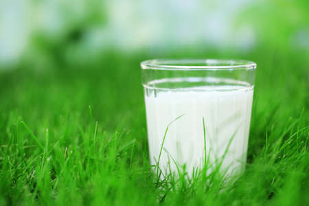 Milk in glass on grass on natural backgroundの写真素材