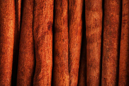 Cinnamon sticks close upの写真素材