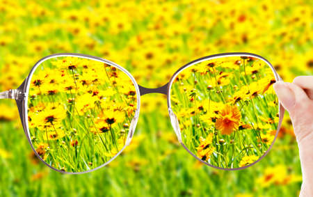 Vision concept. Glasses in hand on wild flowers backgroundの写真素材