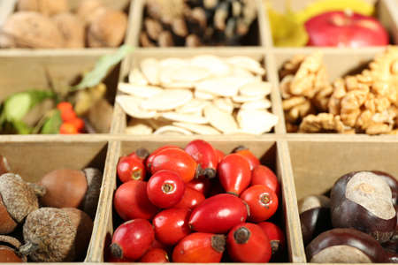 Autumn composition in decorative wooden box, close upの写真素材