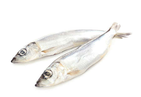 Fresh fish isolated on whiteの写真素材