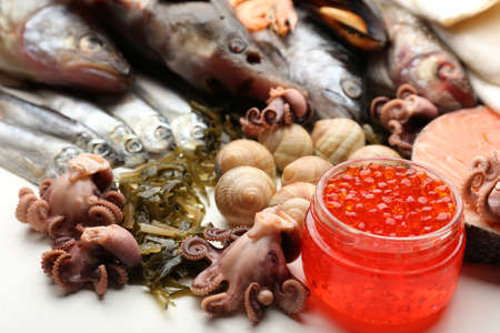 Fresh catch of fish and other seafood close-upの写真素材