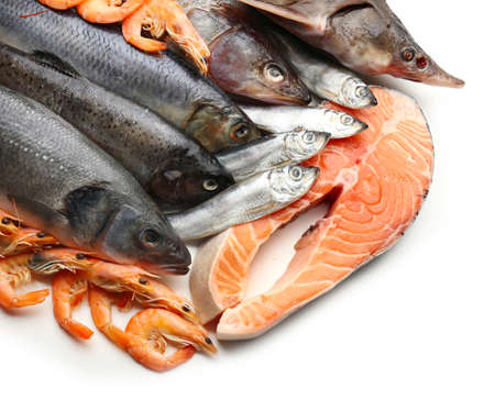 Fresh catch of fish and other seafood isolated on whiteの写真素材