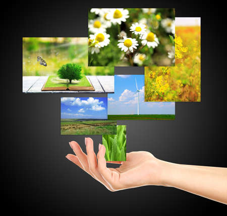 Images of nature objects in hand isolated on blackの写真素材