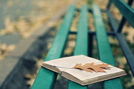Open book with leaf lying on the bench in autumn parkの写真素材
