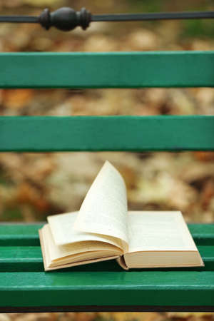 Open book with leaf lying on the bench in autumn parkの写真素材