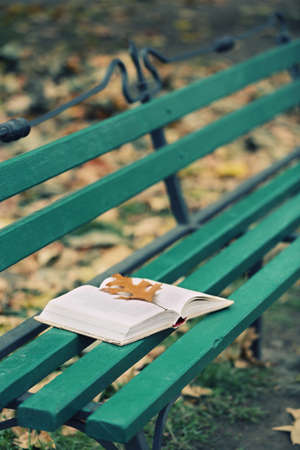 Open book with leaf lying on the bench in autumn parkの写真素材