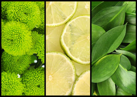 Green color samples collageの写真素材