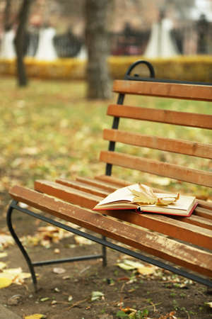 Open book with leaf lying on brown bench in autumn parkの写真素材