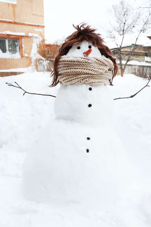 Funny Snowmanの写真素材