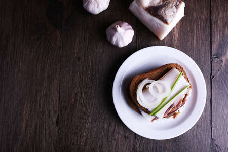 Sandwiches with lard on plate and garlic on wooden の写真素材