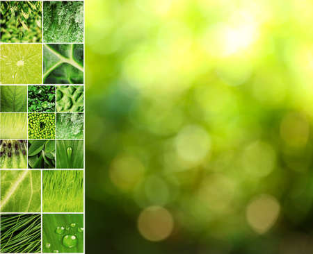 Beautiful nature collageの写真素材