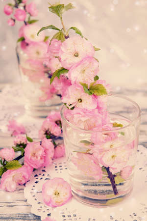 Beautiful fruit blossom in glasses on table on light backgroundの写真素材