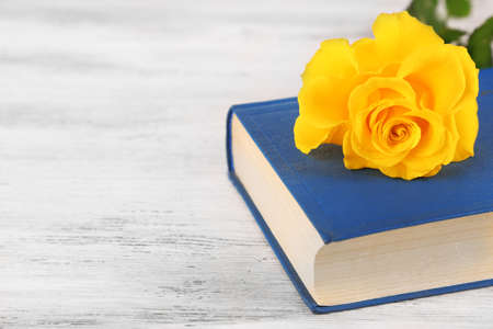 Yellow rose with book on wooden table backgroundの写真素材