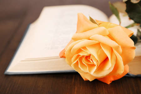 Beautiful rose with book on wooden table, closeupの写真素材