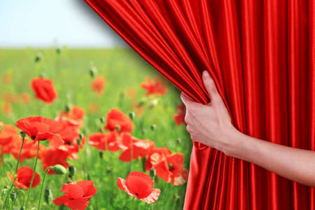 Human hand opens red curtain on nature backgroundの写真素材