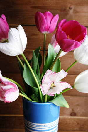 Beautiful tulips on wooden backgroundの写真素材