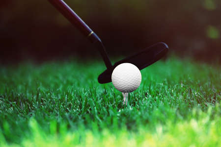 Golf balls and driver on green grass  backgroundの写真素材