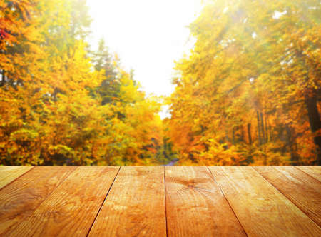 Beautiful nature background with wooden floorの写真素材