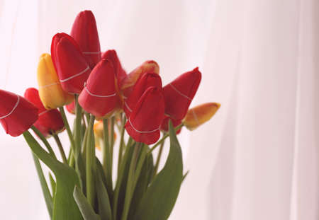 Bouquet of fresh tulips on windowsill backgroundの写真素材