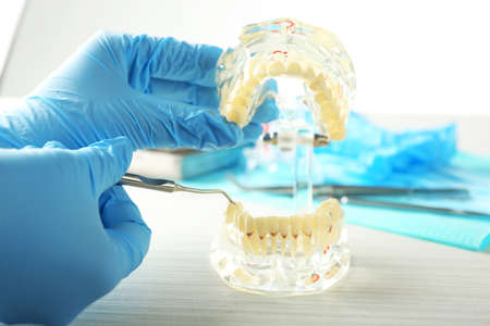 White fake teeth in hand of dentist, on light backgroundの写真素材
