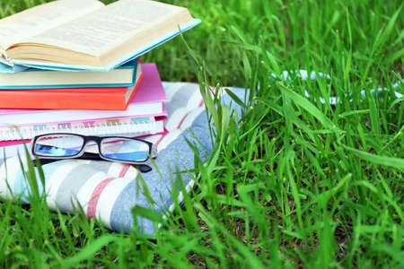 Books and glasses on pillow on grass close-upの写真素材