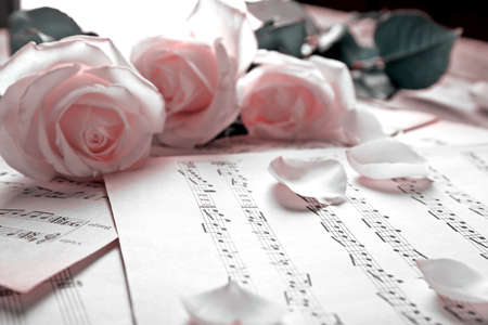 Beautiful roses on music notes backgroundの写真素材