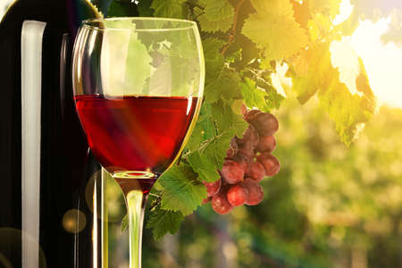 Red wine in glass and bottle on nature backgroundの写真素材