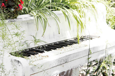 Piano fountain with plants in retro styleの写真素材