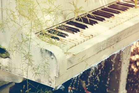 Piano fountain with plant in retro styleの写真素材