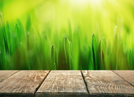 Abstract nature bokeh background and empty wood tableの写真素材