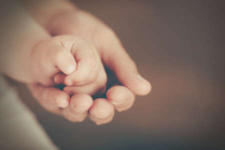 Adult and baby hands, closeupの写真素材