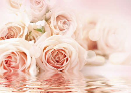 Floral background. Water reflection of beautiful flowers.の写真素材