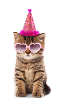 Small cute kitten in pink heart-shaped sunglasses and party hat isolated on whiteの写真素材