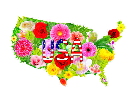 Floral design of USA map on white backgroundの写真素材
