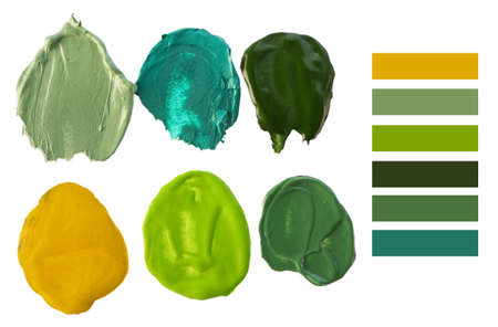 Smears of paints and palette with green color on white backgroundの写真素材