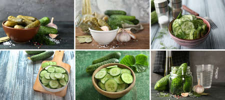 Collage with fresh and marinated cucumbers の写真素材