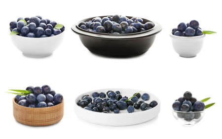 Collage of acai berries in different dishware on white backgroundの写真素材