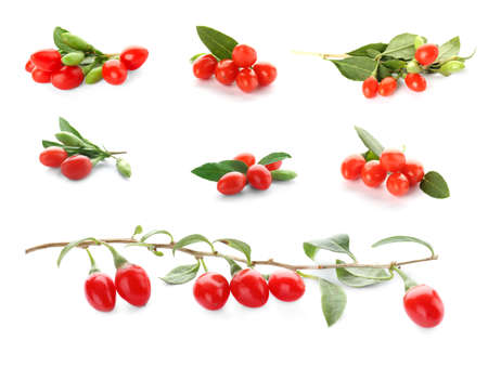 Collage with goji berries on white backgroundの写真素材
