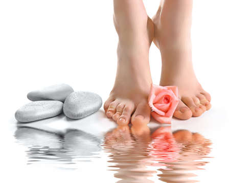 Female feet with rose and reflection on water surface, white background. Spa concept の写真素材