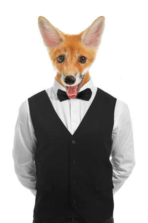 Waiter with head of fox on white backgroundの写真素材