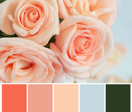 Palette with salmon color and beautiful flowers, closeup