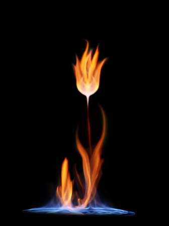 Flower of flame on black background. Wildfire conceptの写真素材