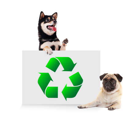 Cute dogs and poster with sign of recycling on white background. Ecology and environment conservationの写真素材